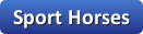 Sport Horse Services